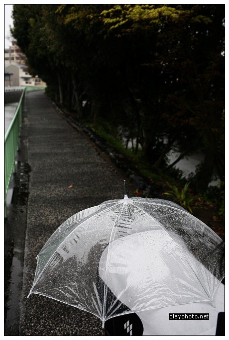 繼續在雨中京都漫步